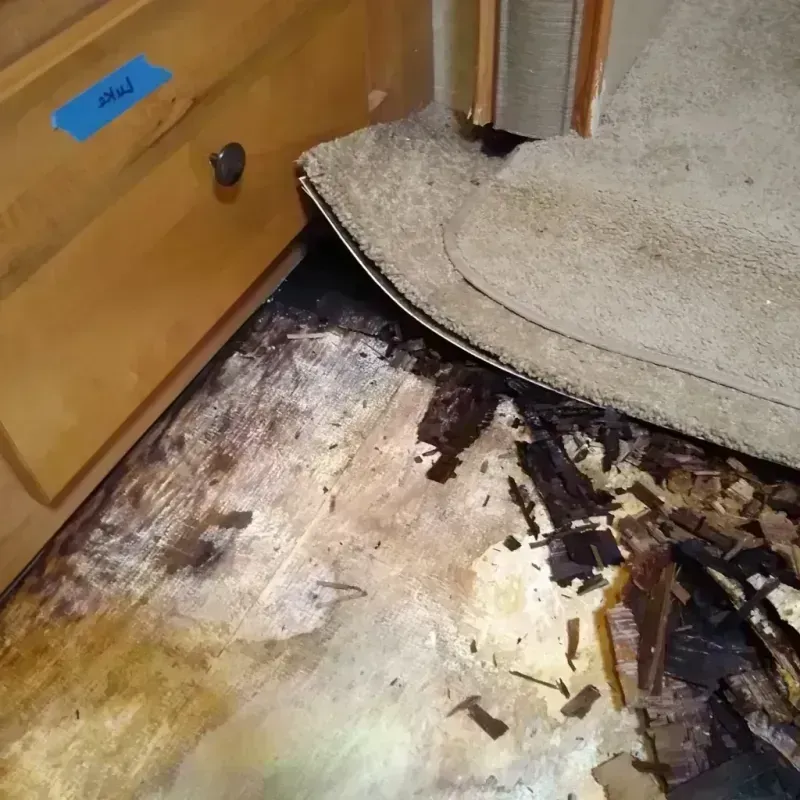 Wood Floor Water Damage in Camden County, MO